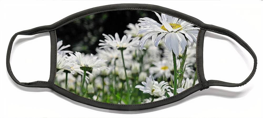 Daisy Face Mask featuring the photograph Darlin' Daisies by Kimberly Furey