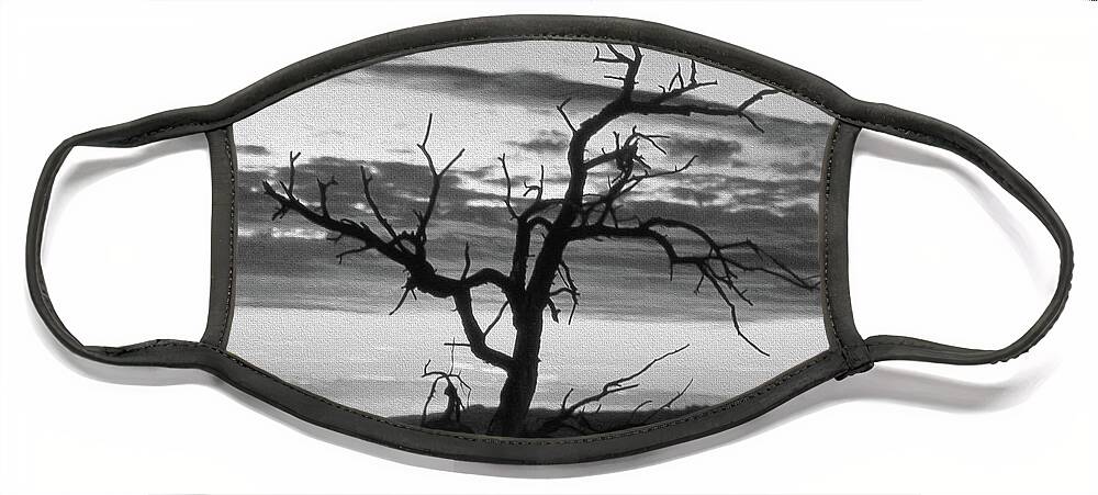 Tree Face Mask featuring the photograph Dead Tree in a Southwest Sunset by Mike McGlothlen