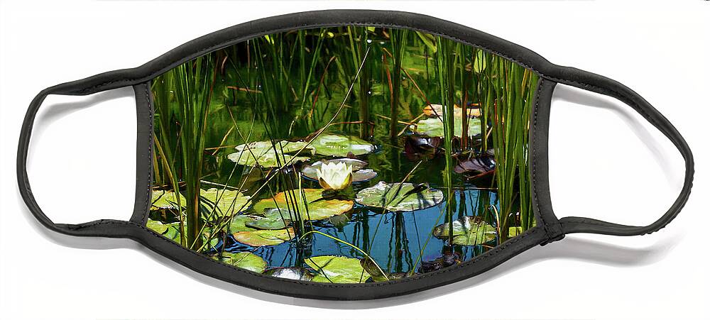 Water Lily Face Mask featuring the photograph Deep in the Lily Pond by Bonnie Follett