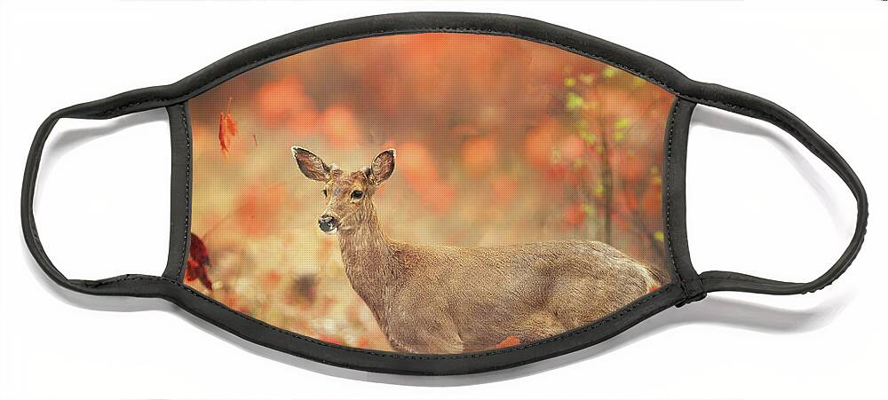 Deer Face Mask featuring the photograph Deer in Apple Orchard by Rebecca Cozart