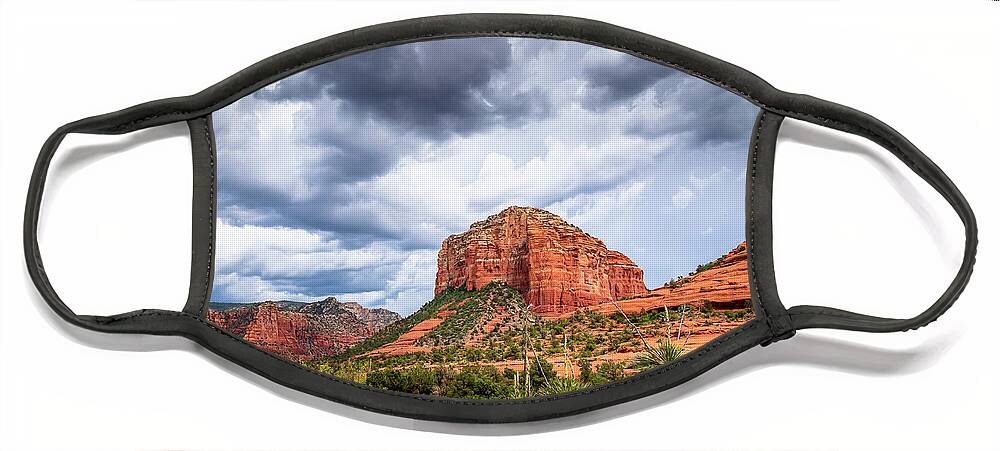 Arizona Face Mask featuring the photograph Desert Beauty by Michael Smith