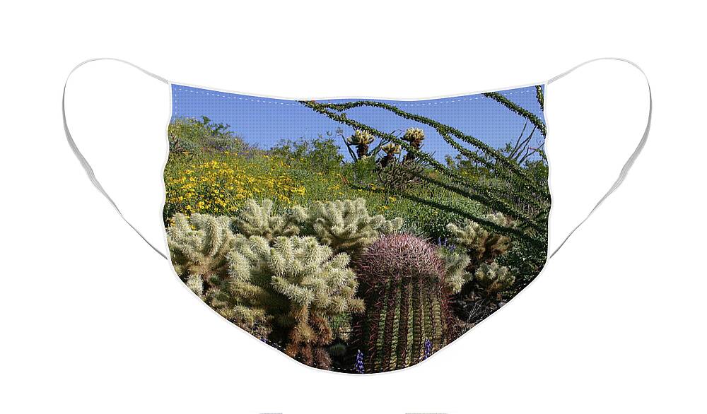 Desert Face Mask featuring the photograph Desert Cholla - Spring Wildflowers by Gene Taylor