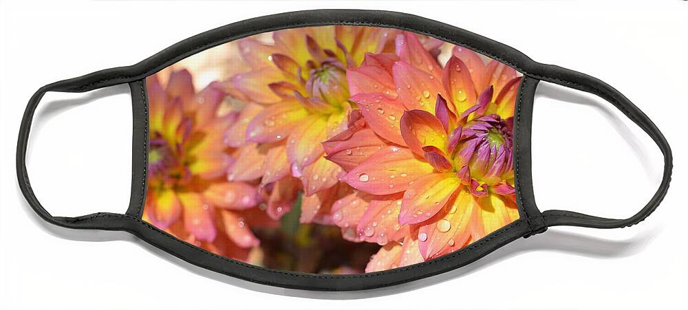 Dahlia Face Mask featuring the photograph Dewy Dahlias by Amy Fose