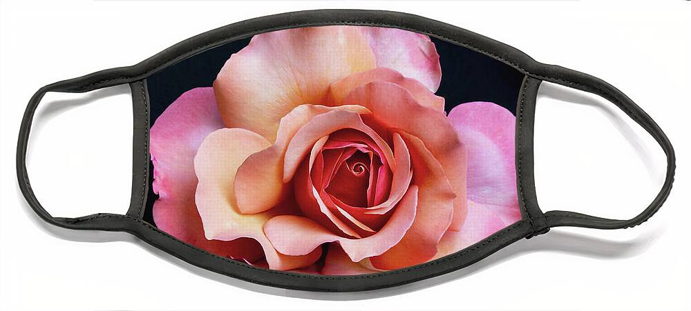 Rose Face Mask featuring the photograph Diamond Rose II by Gina Fitzhugh