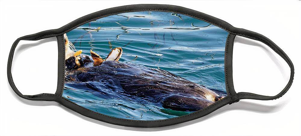 Kj Swan Aquatic Animals Face Mask featuring the photograph Dining Al Fresco - Sea Otter by KJ Swan