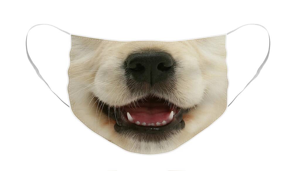  Face Mask featuring the photograph Dog 08 by Warren Photographic