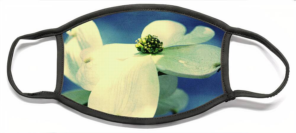 Dogwood; Dogwood Blossom; Dogwood Blossoms; Blossom; Blossoms; Tree; Dogwood Tree; Raindrops; Flower; Indigo; Blue; White; White Flower; White Blossom; Cross Process; Face Mask featuring the photograph Dogwood Blues by Tina Uihlein