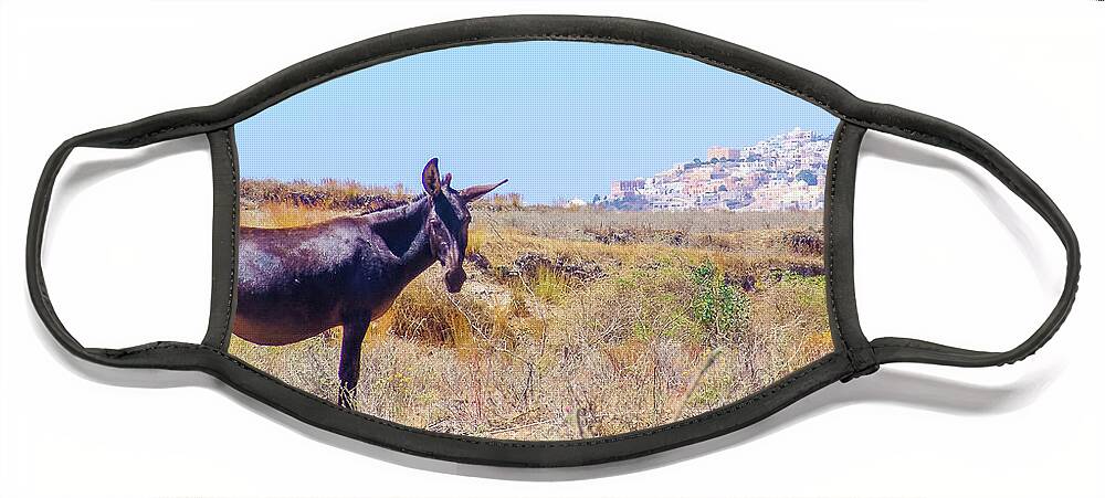 Santorini Face Mask featuring the photograph Donkey in Santorini by David Morehead