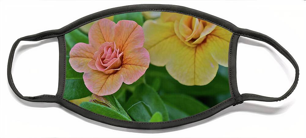 Flowers Face Mask featuring the photograph Double Amber Calbrachoa by Janis Senungetuk