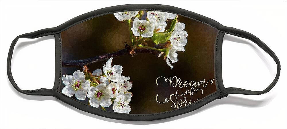Spring Face Mask featuring the photograph Dream of Spring by Cathy Kovarik