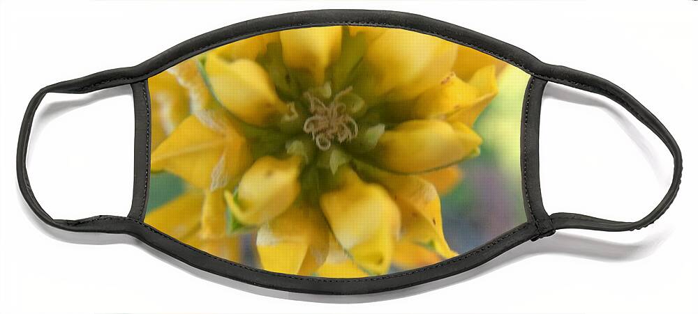 Yellow Rose Face Mask featuring the photograph Dreamy Yellow Rose by Vivian Aumond
