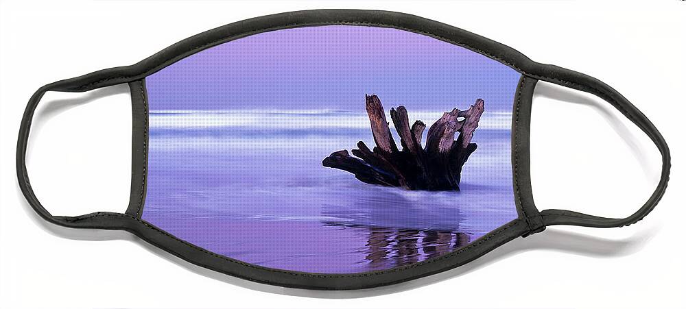 Beach Face Mask featuring the photograph Driftwood at Dawn by Robert Potts