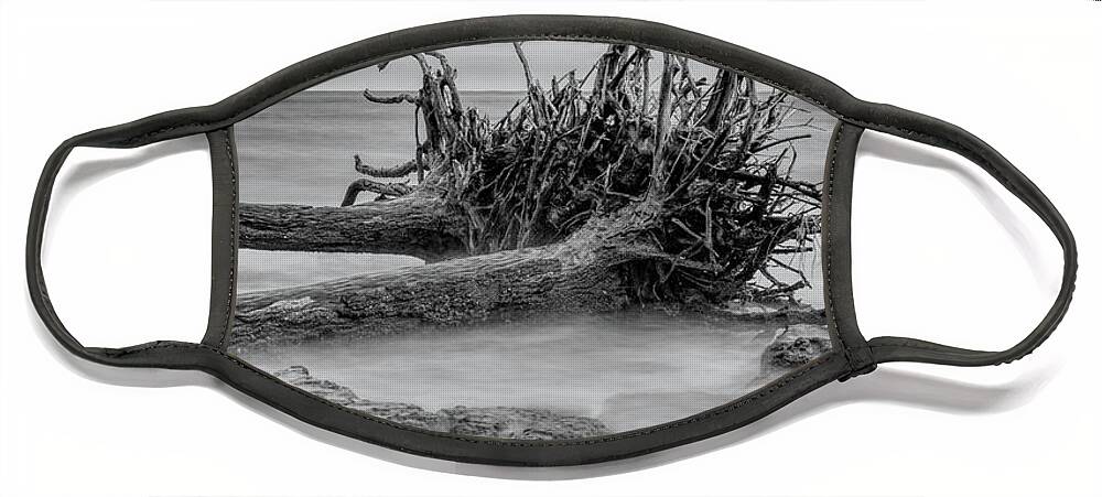 Black Face Mask featuring the photograph Driftwood Beach in Black and White by Carolyn Hutchins