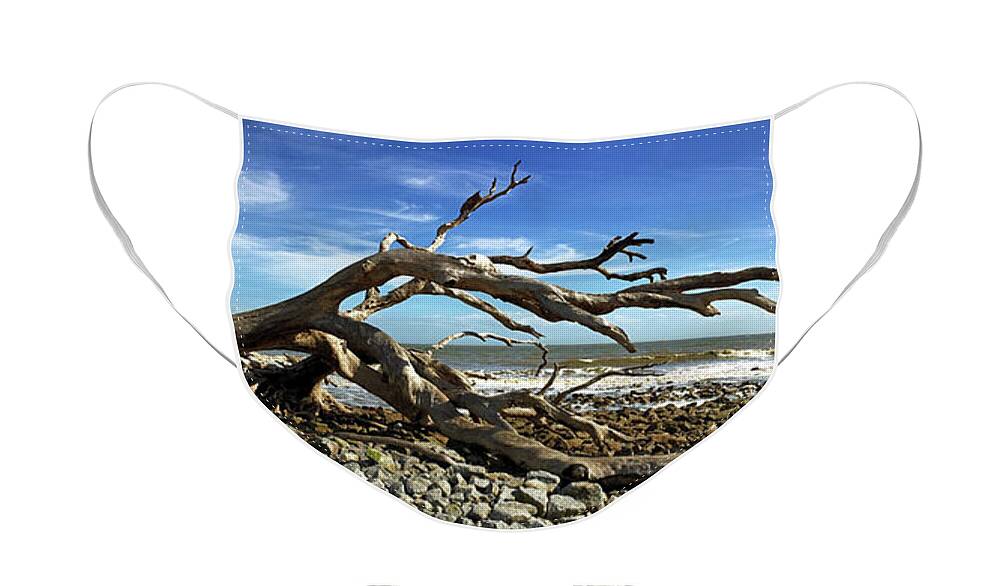 Driftwood Beach Face Mask featuring the photograph Driftwood Beach Jekyll Island Panorama 105 by Bill Swartwout