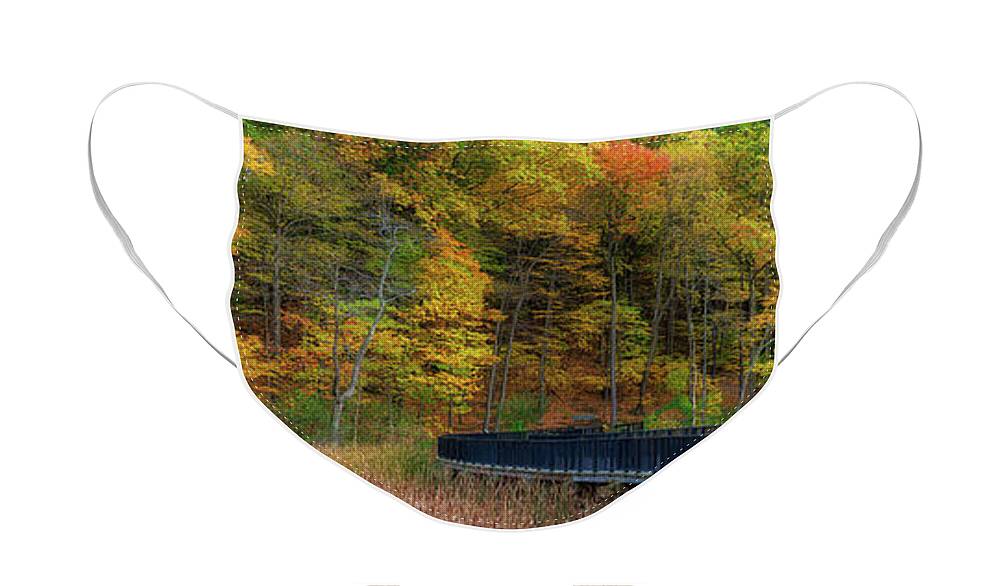 Durand Eastman Park Face Mask featuring the photograph Durand Eastman Park by Mark Papke