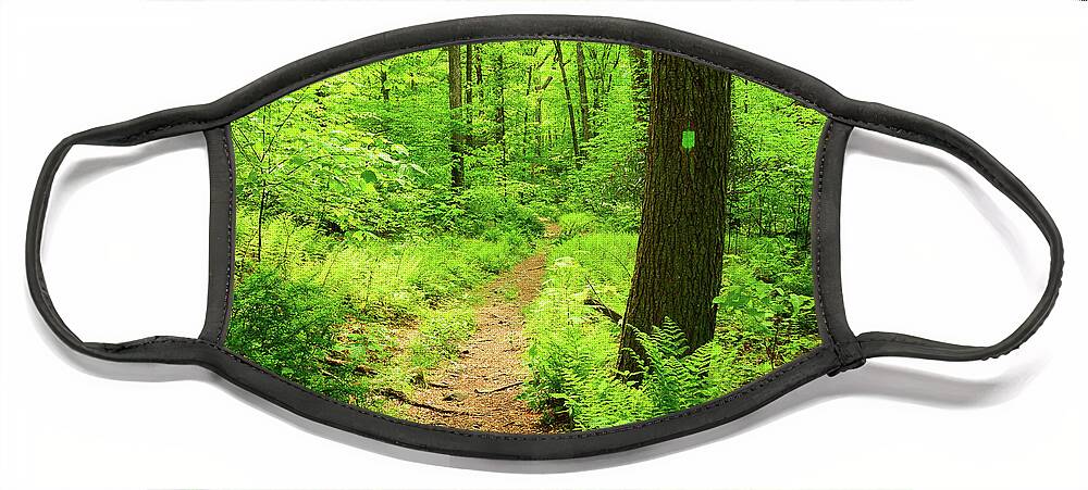 Dwg Dunnfield Creek Spring Green And Trail Blaze Face Mask featuring the photograph DWG Dunnfield Creek Spring Green and Trail Blaze by Raymond Salani III