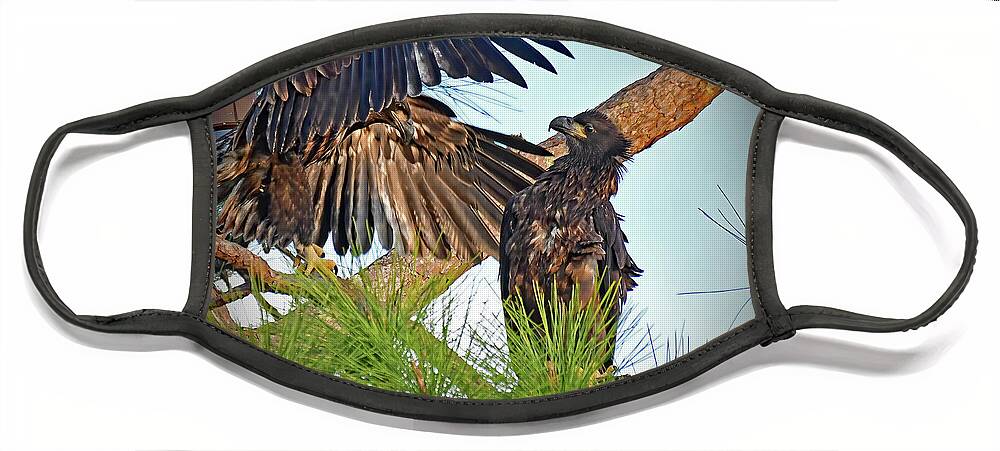 Bald Eagles Face Mask featuring the photograph E19 and E20 by Liz Grindstaff