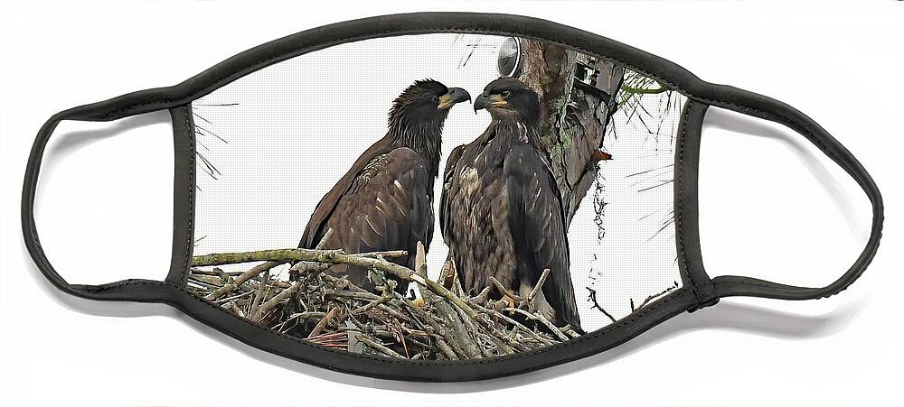 Swfl Face Mask featuring the photograph E19 and E20 looking at each other by Liz Grindstaff