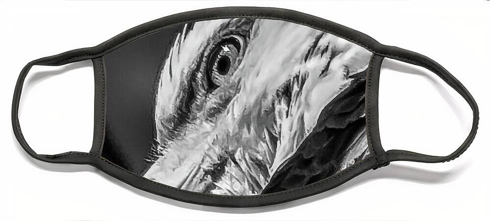 Eagle Face Mask featuring the photograph Eagle Eye in Black and White by David Wagenblatt