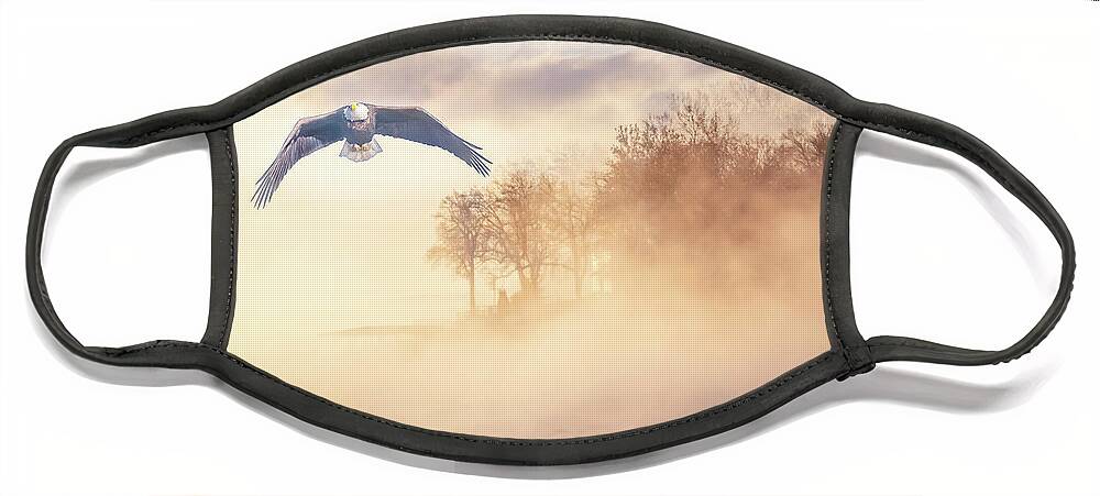 Eagle Face Mask featuring the photograph Eagle in the Mist by David Wagenblatt