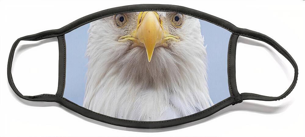 Eagle Face Mask featuring the photograph Eagle Stare by Michael Rauwolf