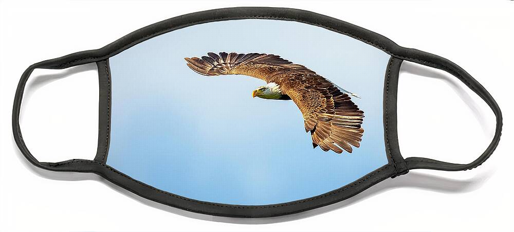 Bird Face Mask featuring the photograph Eagle Wings by Doug McPherson