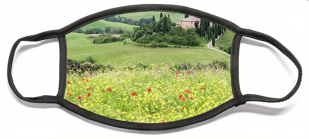 Italy Face Mask featuring the photograph Early Summer in the Val D'Orcia, Tuscany, Italy by Sarah Howard