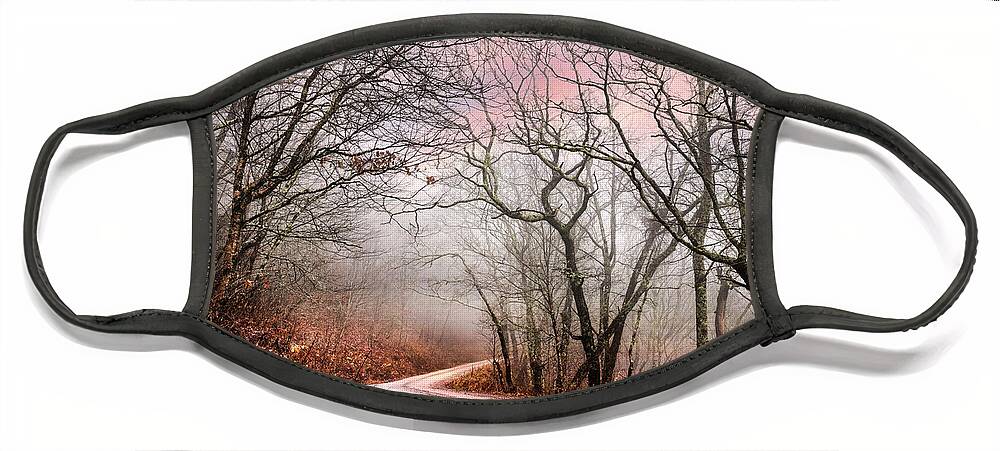 Andrews Face Mask featuring the photograph Early Winter Light in the Trees by Debra and Dave Vanderlaan