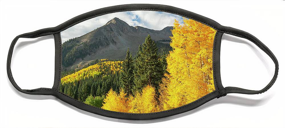 Aspens Face Mask featuring the photograph East Beckwith Aspens by Aaron Spong