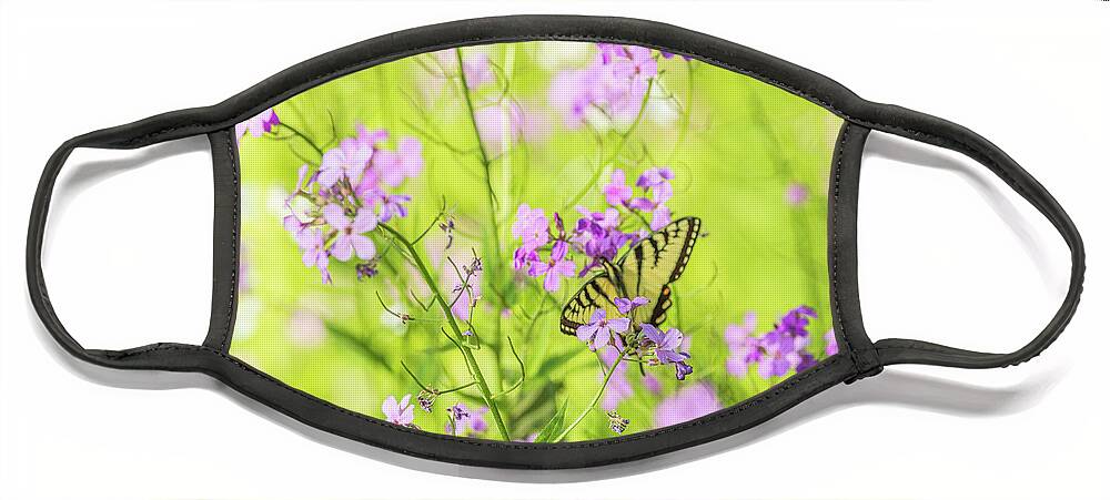 Animals Face Mask featuring the photograph Eastern Tiger Swallowtail Butterfly 4 - Nature Photography by Amelia Pearn