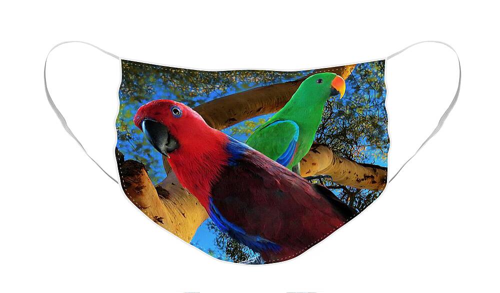 Eclectus Parrot Face Mask featuring the mixed media Eclectus Parrots by Joan Stratton