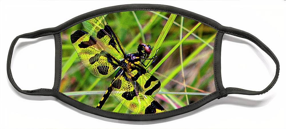 Dragonfly Face Mask featuring the photograph Electric Banded Pennant by Double AA Photography