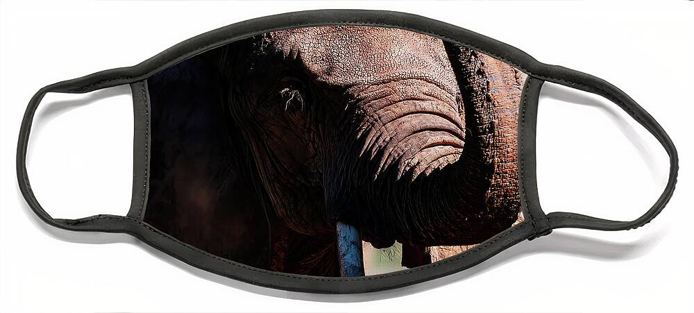Elephant Portrait Face Mask featuring the photograph Elephant Portrait 001 by Flees Photos