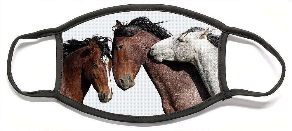 Wild Horses Face Mask featuring the photograph Emotion 2 by Mary Hone