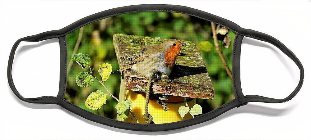 Robin Face Mask featuring the photograph English Robin On A Birdhouse by Tranquil Light Photography