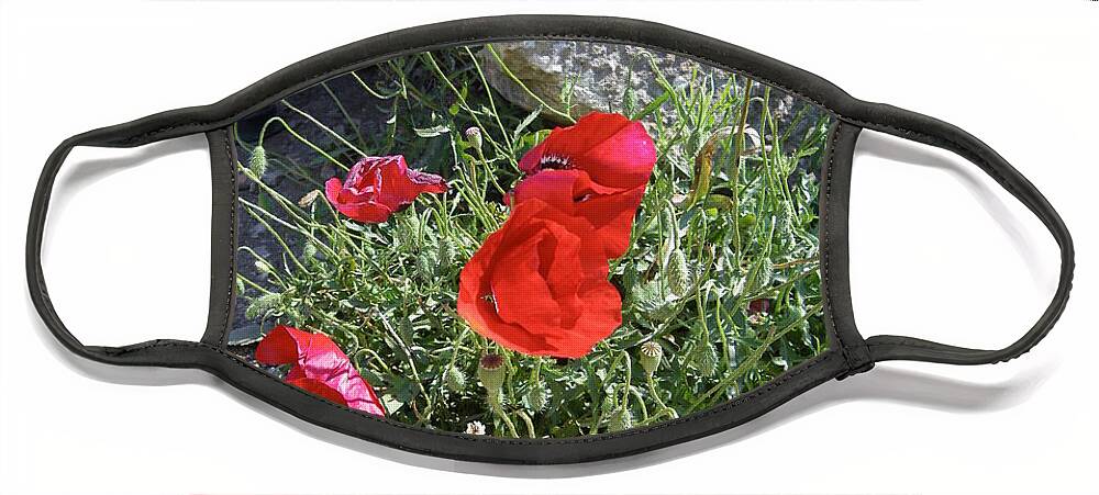 Poppies Face Mask featuring the photograph Ephesus poppies by Lisa Mutch