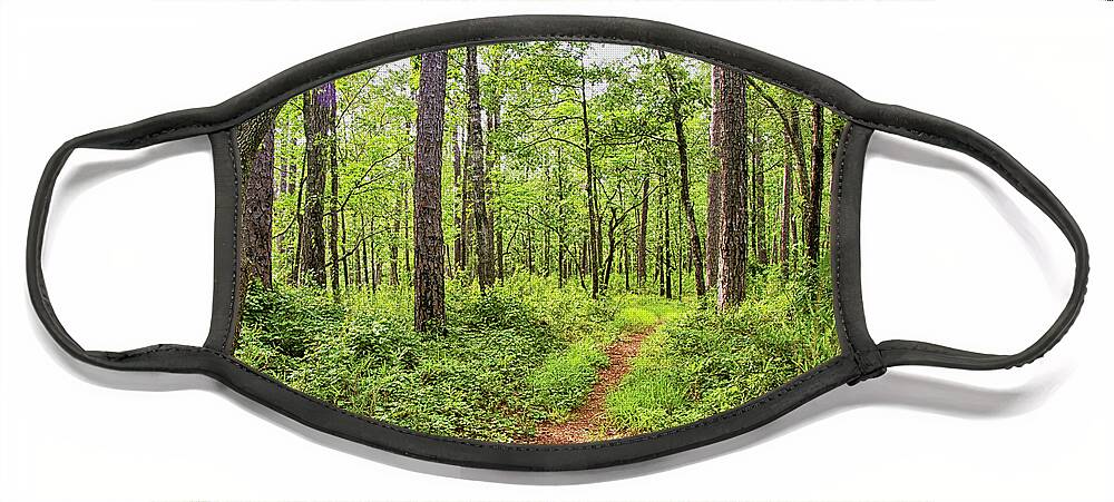 Forest Face Mask featuring the photograph Evening Light on the Neusiok Trail by Bob Decker
