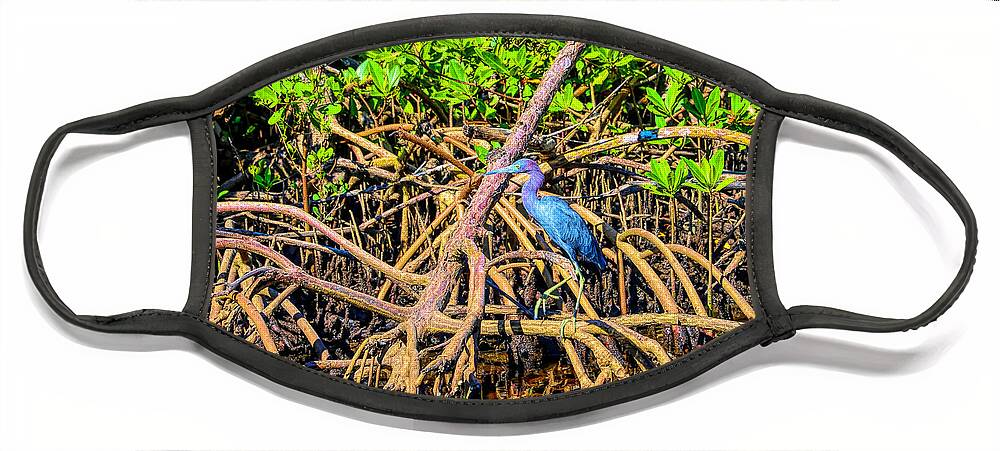 Florida Everglades Face Mask featuring the photograph Everglade Mangroves by Alison Belsan Horton