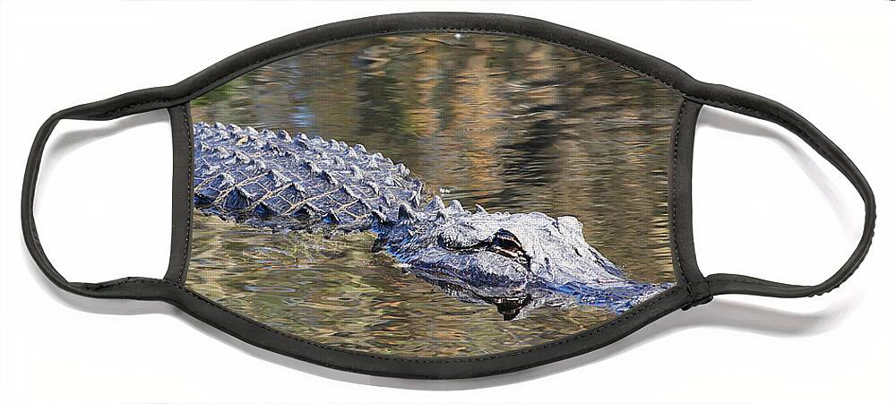 Alligator Face Mask featuring the photograph Everglades Alligator Free by Custom Aviation Art