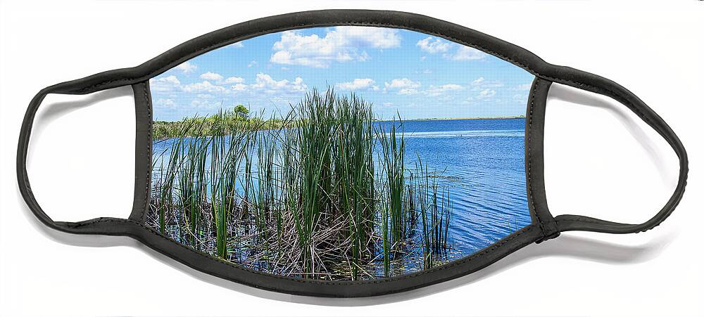 Everglades Face Mask featuring the photograph Everglades Blind by Blair Damson