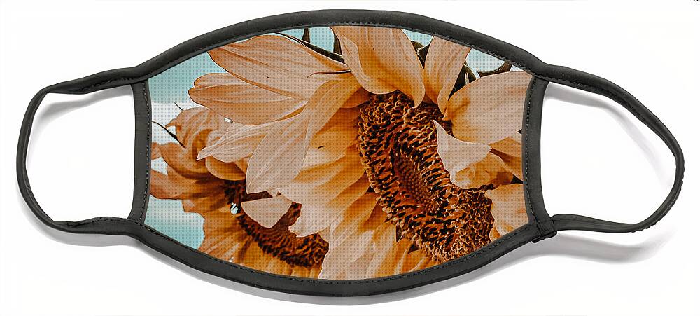 Sunflower Face Mask featuring the photograph Fading Days by Bonny Puckett