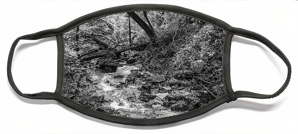Cherokee Face Mask featuring the photograph Fall Cascades at Cloudland Canyon Black and White by Debra and Dave Vanderlaan