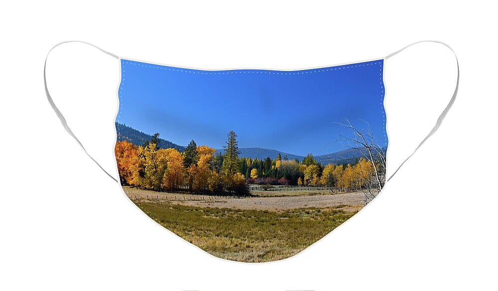 Fall Color Face Mask featuring the photograph Fall Color Twin Lakes by Cindy Murphy