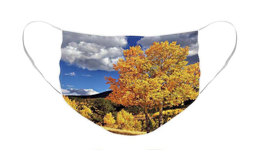 Aspens Face Mask featuring the photograph Fall Colors by Bob Falcone