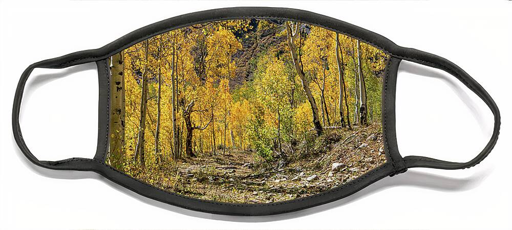 Aspens Face Mask featuring the photograph Fall Mountain Road by Ron Long Ltd Photography