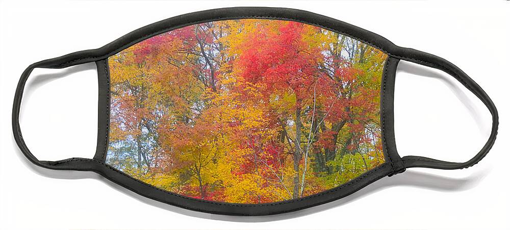 Fall Foliage Face Mask featuring the photograph Fall by Segura Shaw Photography