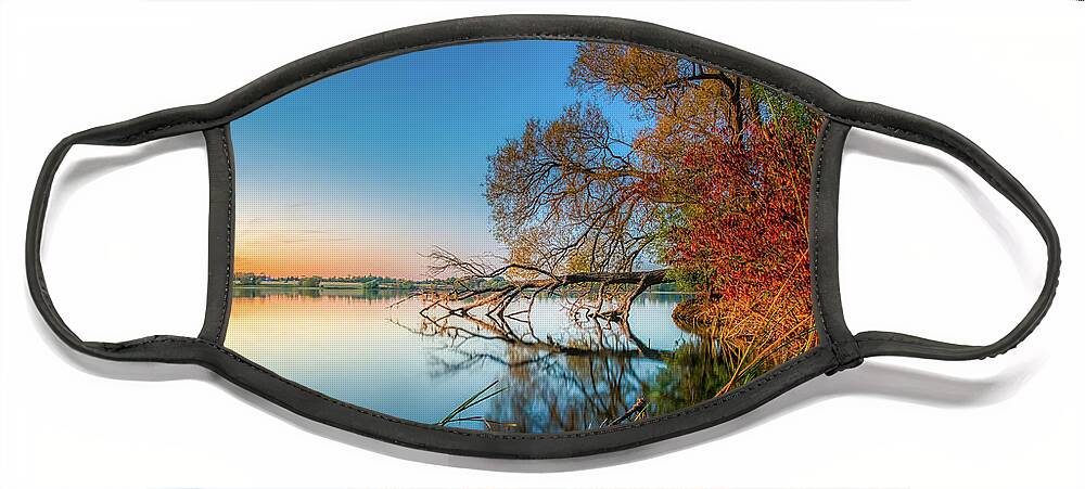 Trees Face Mask featuring the photograph Fallen Tree Reflection by Dee Potter