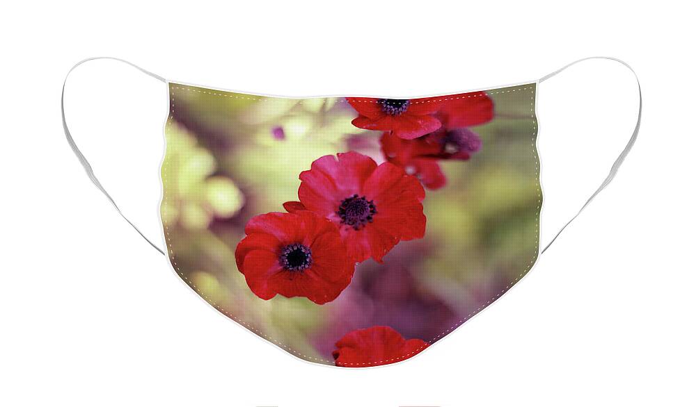 Anemone Face Mask featuring the photograph Falling Anemones by Elaine Teague