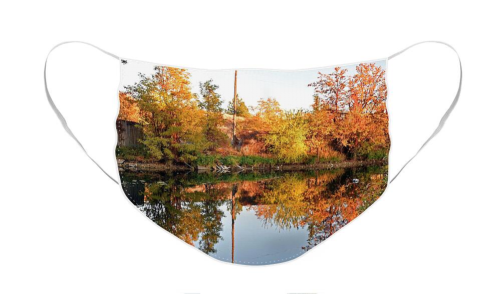 Falls Park Face Mask featuring the photograph Falls Park by Cindy Murphy