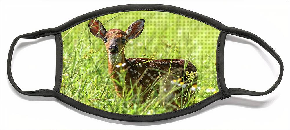 Fawn Face Mask featuring the photograph Fawn In Sunny Grass by Steven Sparks